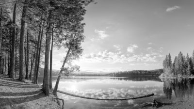 Lake Siskiyou California - Black & White Fine Art Photo Print.